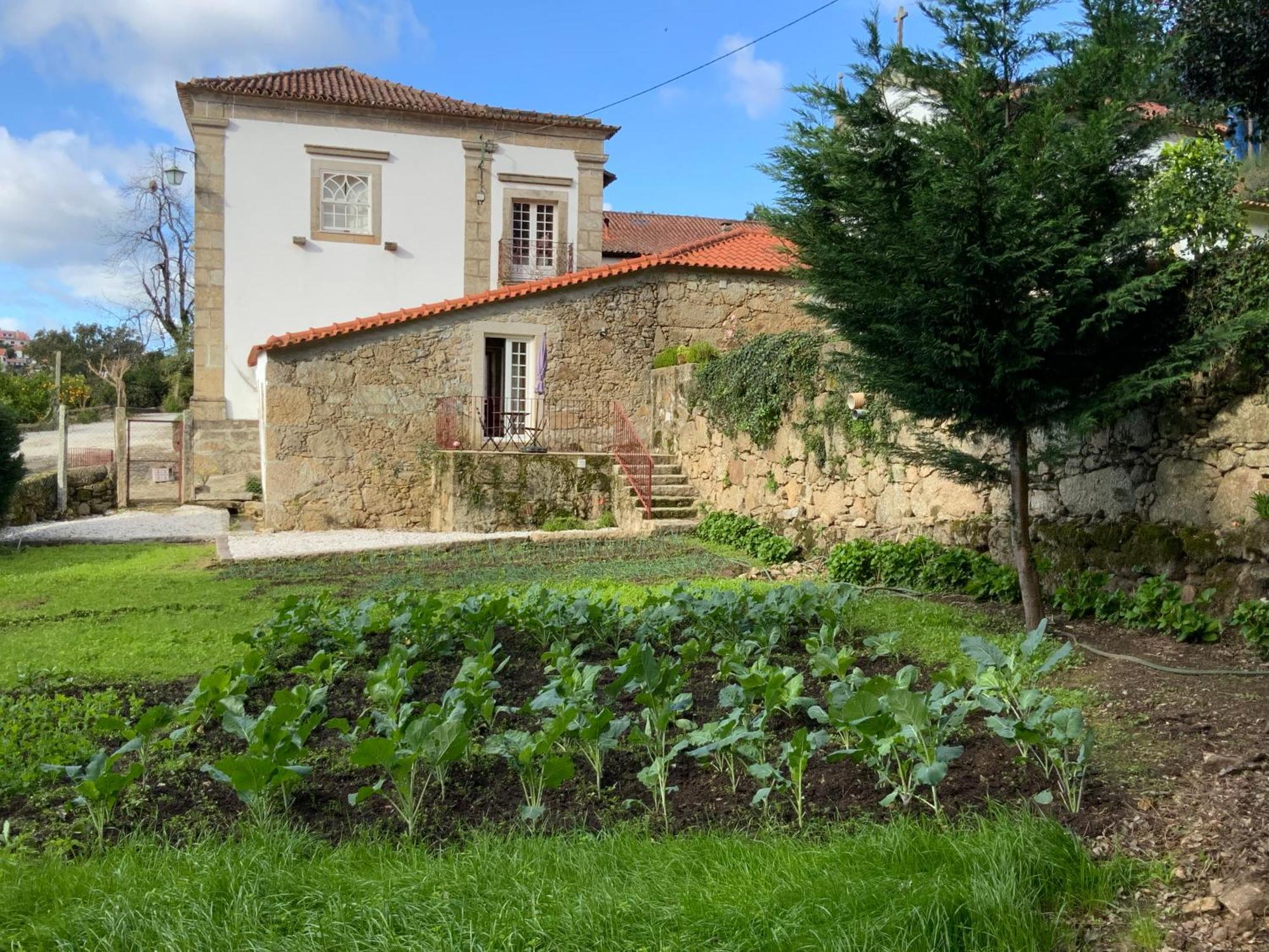 فيلا Quinta Do Bravio Barroselas المظهر الخارجي الصورة
