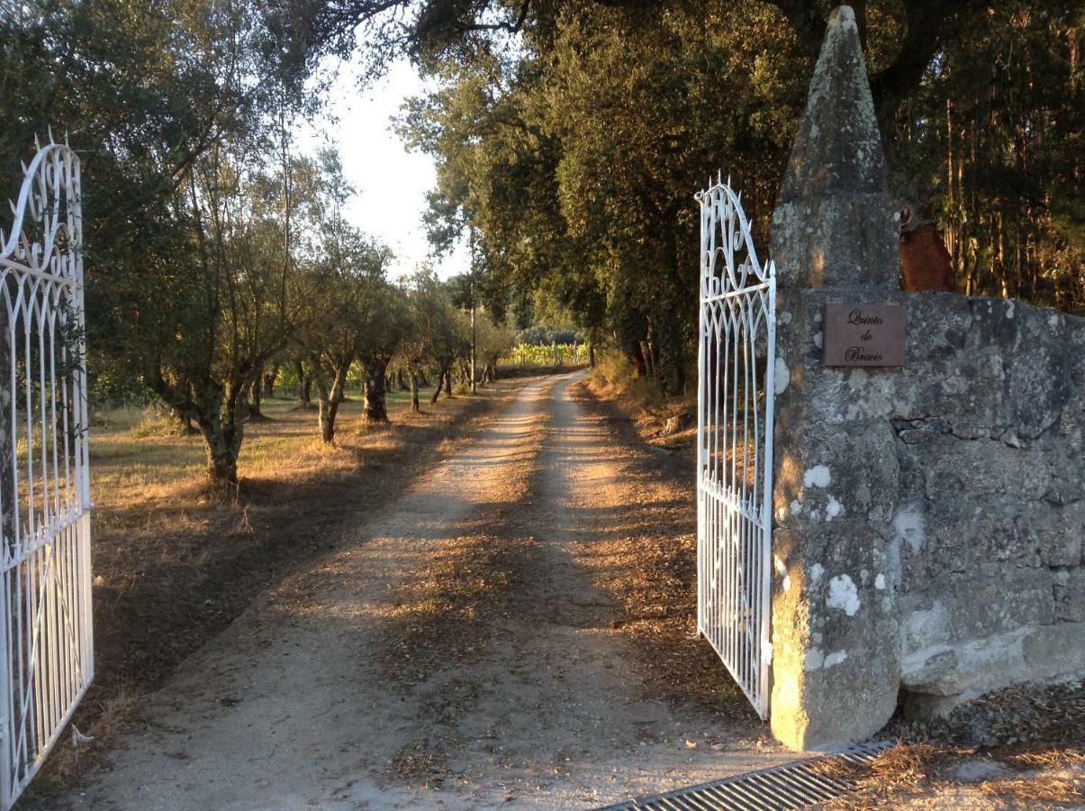 فيلا Quinta Do Bravio Barroselas المظهر الخارجي الصورة
